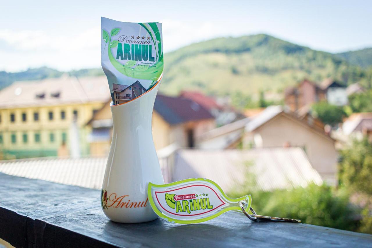 Pensiunea Arinul Moieciu de Jos Exterior foto